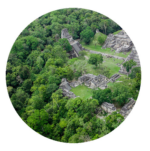 parque-nacional-tikal